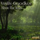 Vasiliy Goodkov - After The Rain