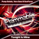 Pump Estate, Vera Gess & SunForce - Tonight Is Mine (Original Mix)