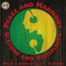 U.Stone & Viniselecta - Peace & Harmony (Original Mix)
