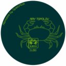 Ray Topolov - Xeon (SpellRos Remix)