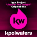 Igor Project - Jazz In The Jungle (Radio Edit)