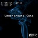 Francois Le Roy - Did You Get It (Original Mix)