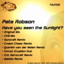 Pete Robson - Have You Seen The Sunlight?