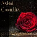 Ashai - Camellia (Andrian Cyber Remix)