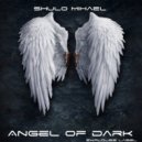 Shulo Mihael - Walk In The Light (Original Mix)