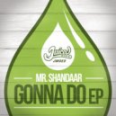 Mr Shandaar - Gonna Do (Original Mix)