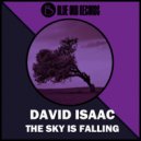 David Isaac - The SKY Is Falling (Bardia F Deeper Remix)