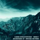Gabor Sztranyovszky - Rigortribe (Mr.Raltz Remix)
