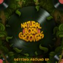 Natural Born Groovers - Cameleon