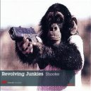 Revolving Junkies - Flamingo (Original Mix)