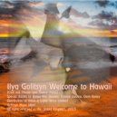 Ilya Golitsyn - Welcome To Hawaii (House Mix)