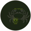 Ray Topolov - Junk (Original Mix)