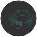 Ray Topolov - DT9 (Original Mix)