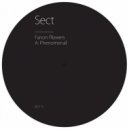 Fanon Flowers - Phenomenal (Substance Remix)