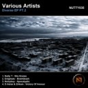 D-Verze & Zirkum - Victory Of Honour