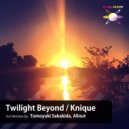 Knique - Twilight Beyond (Alinut Remix)