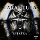 Spektra - Tarantula (Original Mix)