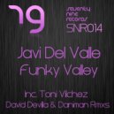 Javi Del Valle - Funky Valley