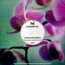 Emmanuel Sultana - Sunday Brunch