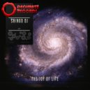 Shingo Dj - Singularity (Original Mix)