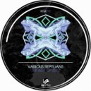 Javi Amo - One Respect (Original Mix)