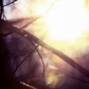 Am.Light - Breathing