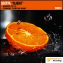 DJ Kaya - Alright (2013) (Original Mix)