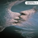 FnDannyBoy - Can You Feel It?