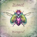 Disect - Amplitude