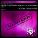 Nacho Chapado & Smaz Feat Patricia Leidig - Trust In The Universe
