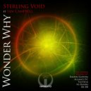 Sterling Void ft. Ian Campbell - Wonder Why (Nu Raverz Remix)