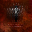 Pachyderme - Une Saison En Enfer (Original Mix)