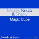 Miroslav Krstic & Sharky - Magic Cube (Original Mix)