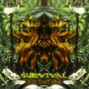 Lauge - From Buttom To Shore