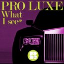 Pro Luxe - What I See