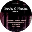 Lunabass & Joshua Pathon - Radison (Original Mix)