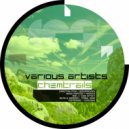 Mario Montero - Massive