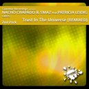 Nacho Chapado & Smaz Feat Patricia Leidig - Trust In The Universe Remixed