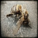 Beat Rapist - Decay