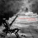 David Divine - Life Goes On