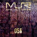 Facing Odds, Holly - Another Mirage