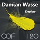 Damian Wasse - Attempt To Get