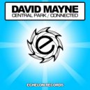 David Mayne - Connected