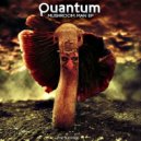 Quantum - Mushroom Man