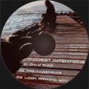 Modest Intentions - Look Around You