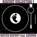 Mister Bigfoot - Afromania