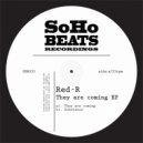 Red-R - Soberanos (Original Mix)