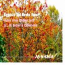 Ayhasca Ernesto - Sol Noche Luna (Lo Remix)