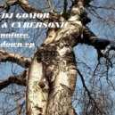 DJ Gomor & Cybersonic - Nature Down