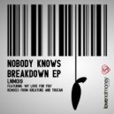 Nobody Knows - My Love For You (Original Mix)